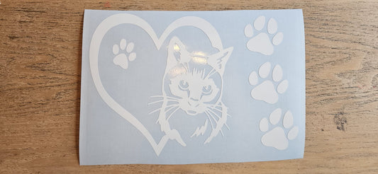 Statige kat met pootjes